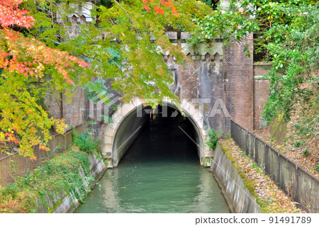 秋季“琵琶湖水仙”進入第三隧道 秋季“琵琶湖水仙”進入第三隧道 91491789