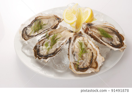 Raw oysters from Hokkaido Raw oysters from Hokkaido 91491878