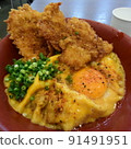 Pork cutlet on rice  91491951