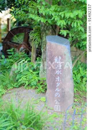 龍玄水螢公園(座間) 龍玄水螢公園(座間) 91492157