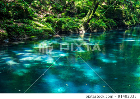 Beautiful fresh green scenery of Kikuchi Gorge and early summer blue autumn leaves 91492335
