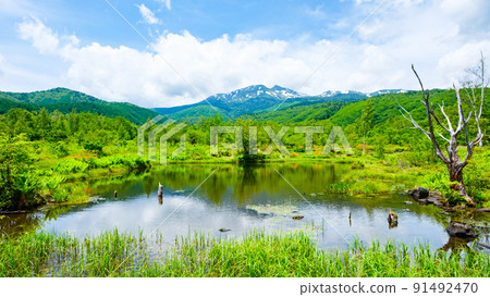 Norikura Plateau in early summer (Osome Pond and Mt. Norikura) 91492470