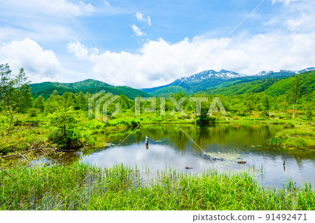 初夏的乘鞍高原（Osome池塘和乘鞍山） 91492471