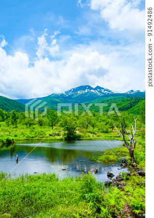 Norikura Plateau in early summer (Osome Pond and Mt. Norikura) 91492486