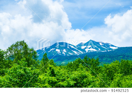 Mt. Norikura in early summer (from Ichinoseenchi) 91492525