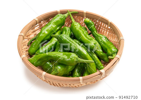 Shishito pepper of summer vegetables 91492710