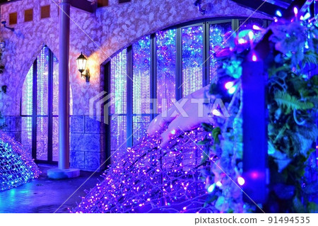 Illuminations of the winter church Illuminations of the winter church 91494535