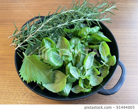 Harvested herbs 91494805