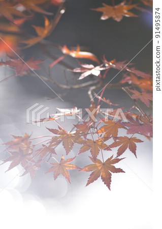 Autumn leaves image Autumn leaves image 91495874