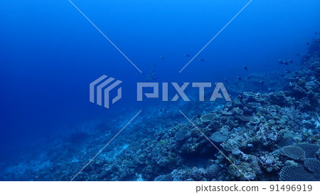 Scenery from underwater Scenery from underwater 91496919