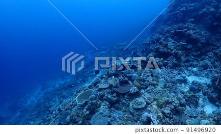 Scenery from underwater Scenery from underwater 91496920