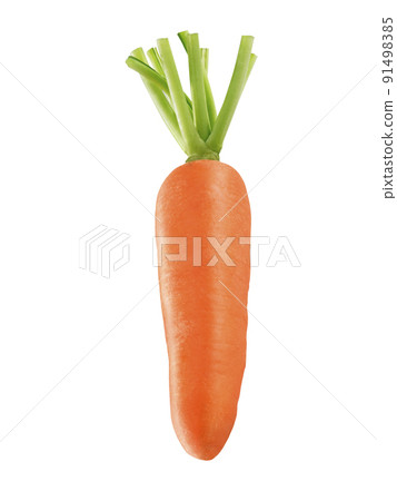 Carrot isolated on a withe background Carrot isolated on a withe background 91498385