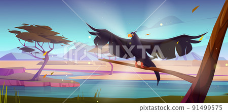 Raven on tree branch in savannah at dusk 91499575
