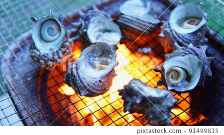 在明火上烤頭巾殼 91499815