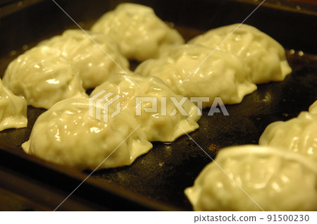 Dumpling party Dumpling party 91500230