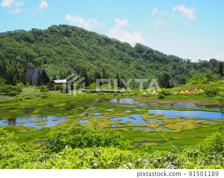 小野池和小野池 Hutte 小野池和小野池 Hutte 91501189