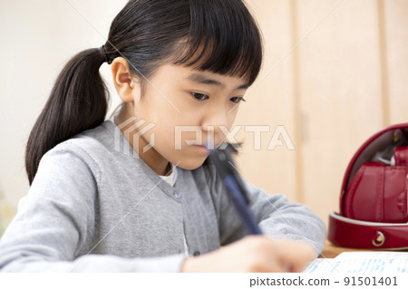 Elementary school girl studying 91501401