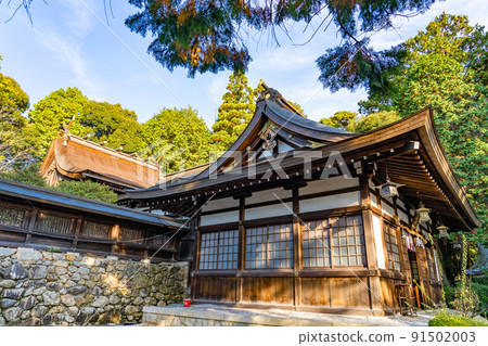 The main hall of Konomiya Shrine in autumn, Taga Town, Shiga Prefecture The main hall of Konomiya Shrine in autumn, Taga Town, Shiga Prefecture 91502003