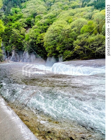 森林和河流 森林和河流 91502853