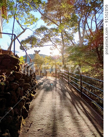 太陽從差距 太陽從差距 91502856