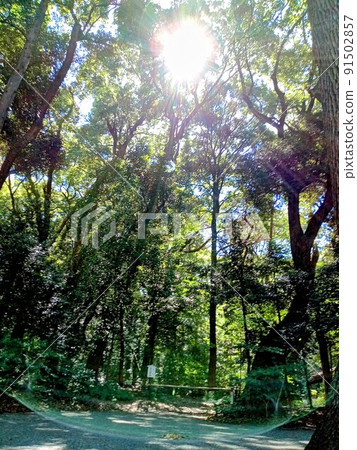 太陽捉迷藏 太陽捉迷藏 91502857