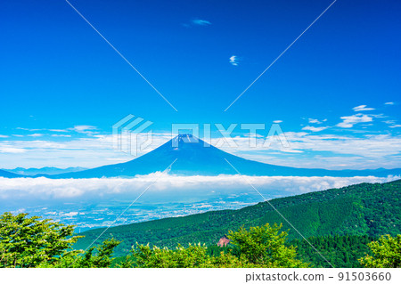 (神奈川縣)雨季結束後從蘆之湖天際線看到的富士山 (神奈川縣)雨季結束後從蘆之湖天際線看到的富士山 91503660