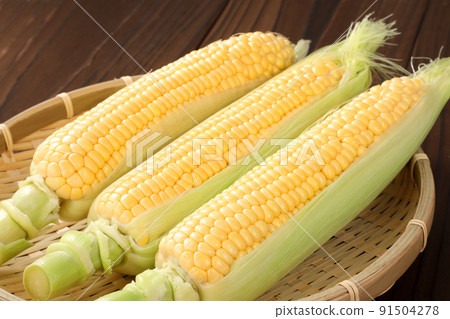 Corn Corn 91504278