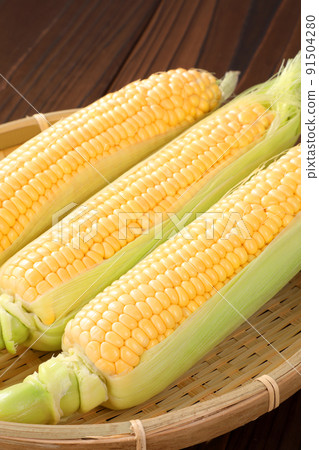 Corn Corn 91504280