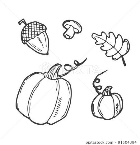 Autumn vector collection. Outline Set of fall vector objects: pumpkin, leaves, mug, cinnamon, piece of pie, acorns, mushroom, apple with caramel. Doodle style isolated on white background Autumn vector collection. Outline Set of fall vector objects: pumpkin, leaves, mug, cinnamon, piece of pie, acorns, mushroom, apple with caramel. Doodle style isolated on white background 91504394