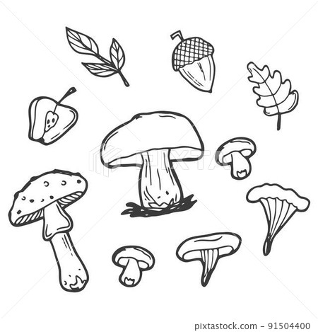 Autumn doodle set on a white background. Black and white vector illustration of an autumn set of acorns, leaves and mushrooms. Isolated objects for print, coloring, decoration. Autumn doodle set on a white background. Black and white vector illustration of an autumn set of acorns, leaves and mushrooms. Isolated objects for print, coloring, decoration. 91504400