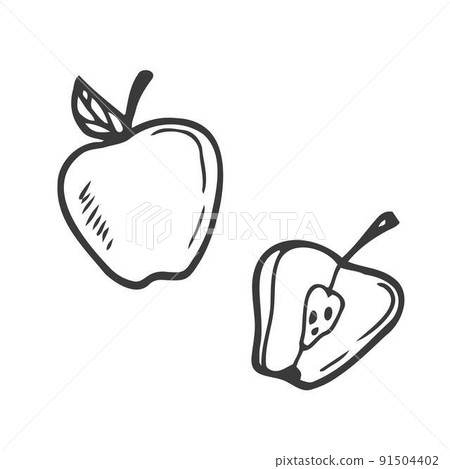 Apple slice and full apple. Black line fruits illustration set. Graphic vector sketch in hand drawn style. Fresh tropical elements on white background. 91504402