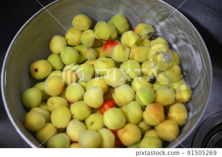 將李子浸泡在水中 91505269