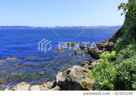 Rocky area of Sarushima Rocky area of Sarushima 91505289