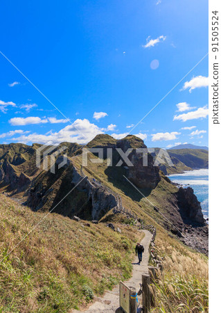 Cape Kamui "Susuki" in autumn in Hokkaido 91505524