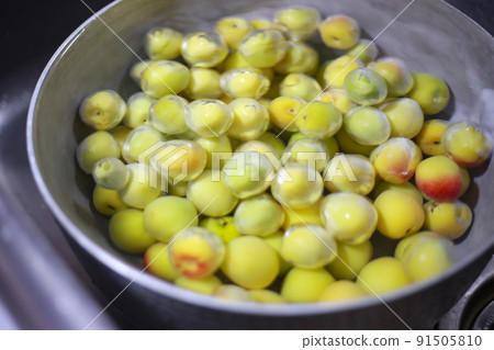 Soaking plums in water Soaking plums in water 91505810