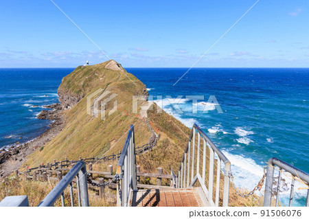 Cape Kamui in autumn in Hokkaido 91506076