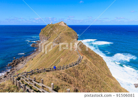 Cape Kamui in autumn in Hokkaido 91506081