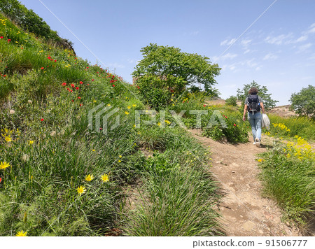Botanic garden in Tbilisi - attraction for tourists Botanic garden in Tbilisi - attraction for tourists 91506777