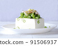 健康的冷豆腐，佐以大量調味品 91506937