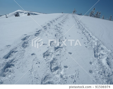 Footprints of the snowy field 91506974