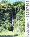夏季從日本海越前海岸的河野看 91507468