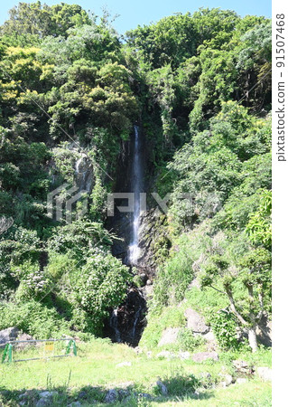 夏季從日本海越前海岸的河野看 夏季從日本海越前海岸的河野看 91507468