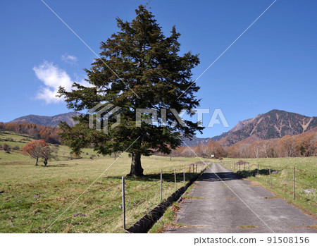 Yatsugatake ranch 91508156