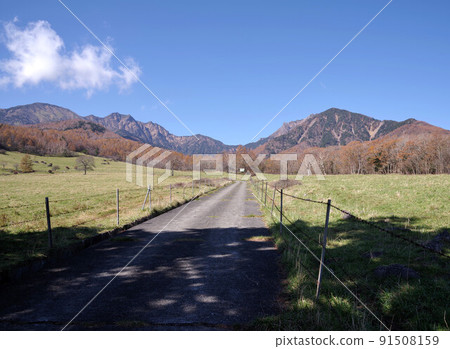 Yatsugatake ranch Yatsugatake ranch 91508159