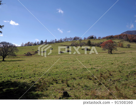 Yatsugatake ranch 91508160