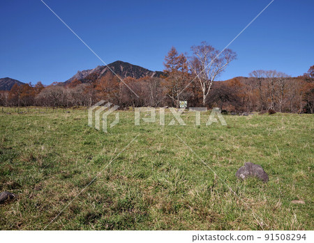 八岳牧場的風景 91508294