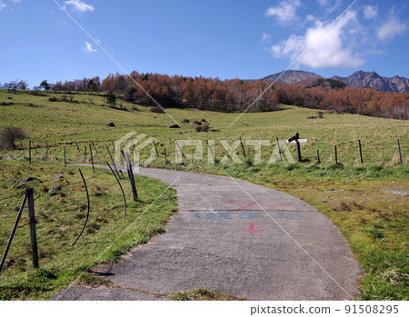 八岳牧場的風景 八岳牧場的風景 91508295