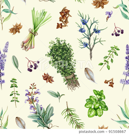 Garden aromatic herbs seamless pattern. Watercolor illustration. Hand drawn sage, lavender, thyme, oregano, eucalyptus, juniper, pine aroma plants. Fresh garden herbs seamless pattern Garden aromatic herbs seamless pattern. Watercolor illustration. Hand drawn sage, lavender, thyme, oregano, eucalyptus, juniper, pine aroma plants. Fresh garden herbs seamless pattern 91508667
