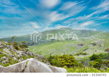 [福岡平尾台] 喀斯特高原 91508745