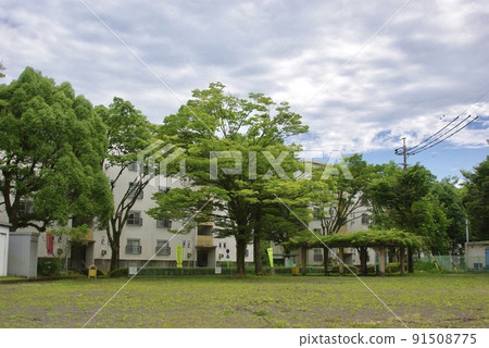 Suburban housing complex with a lot of nature Suburban housing complex with a lot of nature 91508775